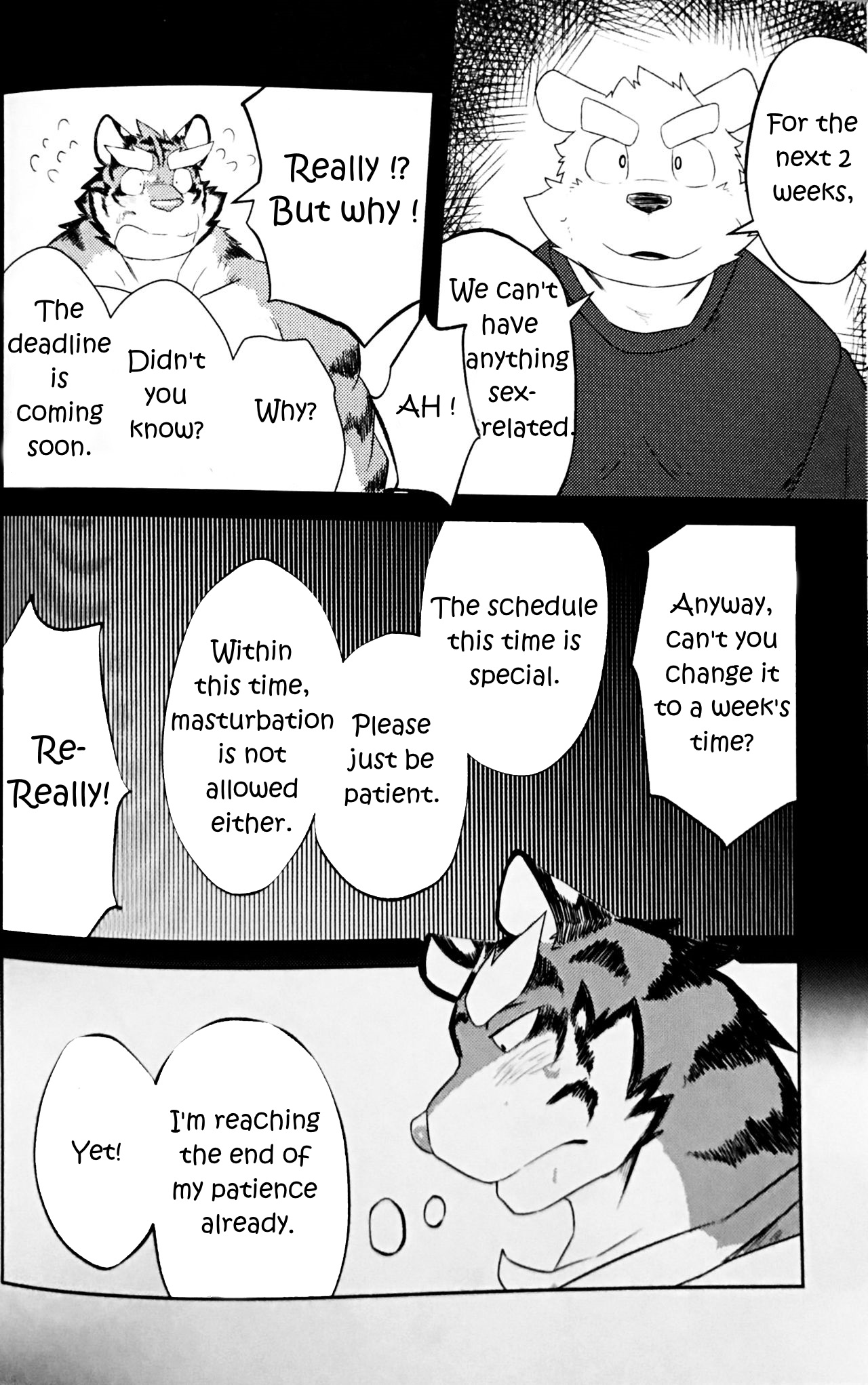 GAP page 6 full