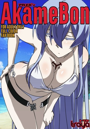 [TraYA] Akamebon (Akame ga Kill!) cover