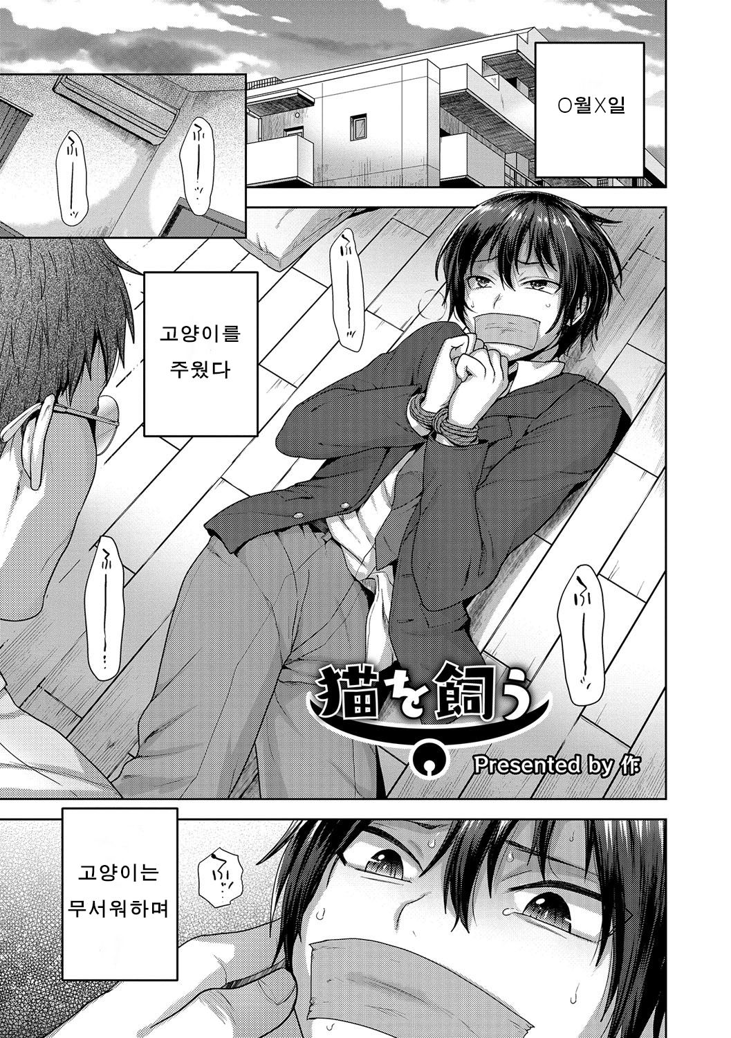 Neko o Kau page 1 full