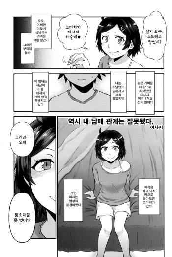 (C90) [Hamehame Service Area (Isaki)] Yahari Ore no Kyoudaikankei wa Machigatteiru. (Hikigaya Hachiman R-18 Anthology) (Yahari Ore no Seishun Love Come wa Machigatteiru.) [Korean] cover