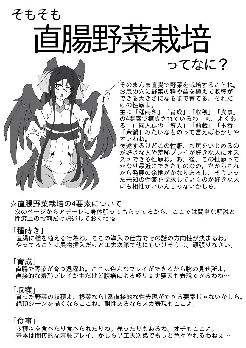 直腸野菜栽培解説本 page 2 full