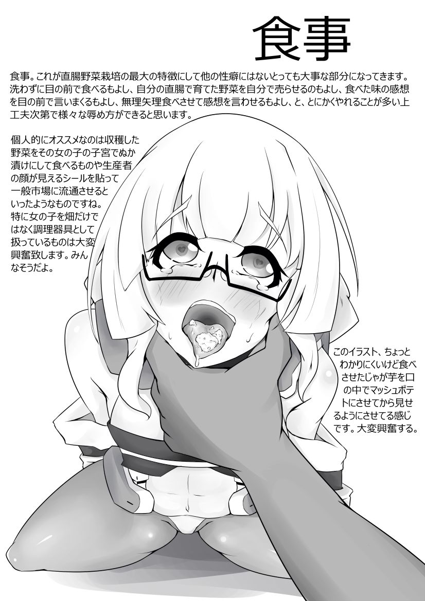 直腸野菜栽培解説本 page 6 full