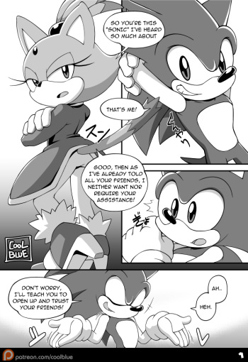 [Coolblue] Sonic & Blaze (Sonic The Hedgehog) cover