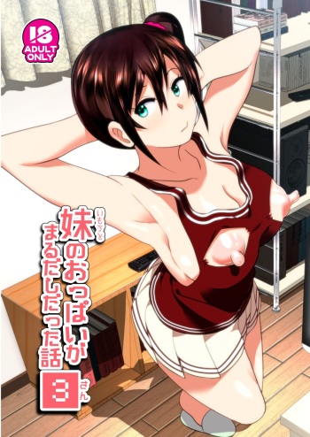 [Supe (Nakani)] Imouto no Oppai ga Marudashi Datta Hanashi 3 [Russian] [﻿Perverts Den] [Decensored] [Digital] cover