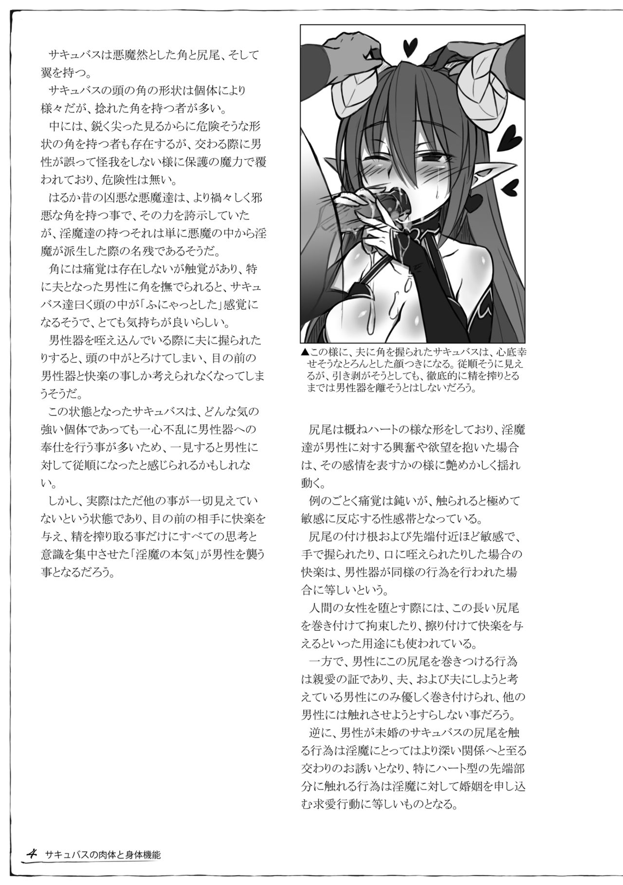 Mamono Musume Zukan Chousa Kiroku Succubus Note page 5 full