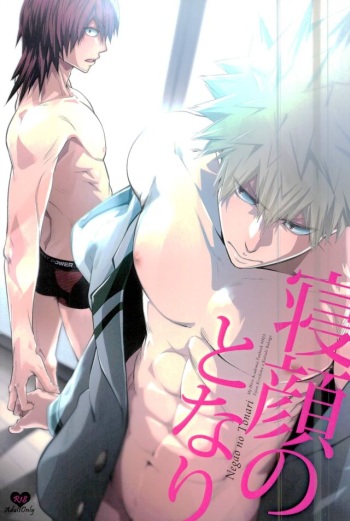 (Douyara Deban no Youda! 5) [Sokotsuya Baker (Tatsunosuke Yukiya)] Negao no Tonari (My Hero Academia) cover