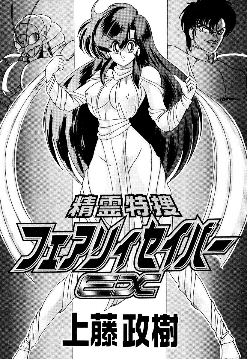 Seirei Tokusou Fairy Saber EX page 6 full