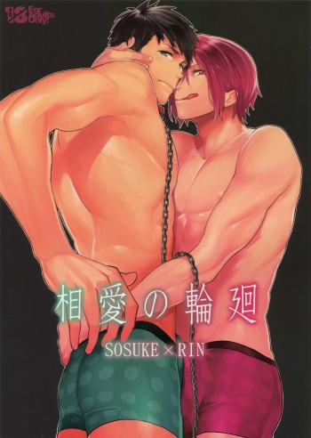 (HaruCC20) [Yakiniku Teishoku (Megumi)] Souai no Rinne (Free!) cover