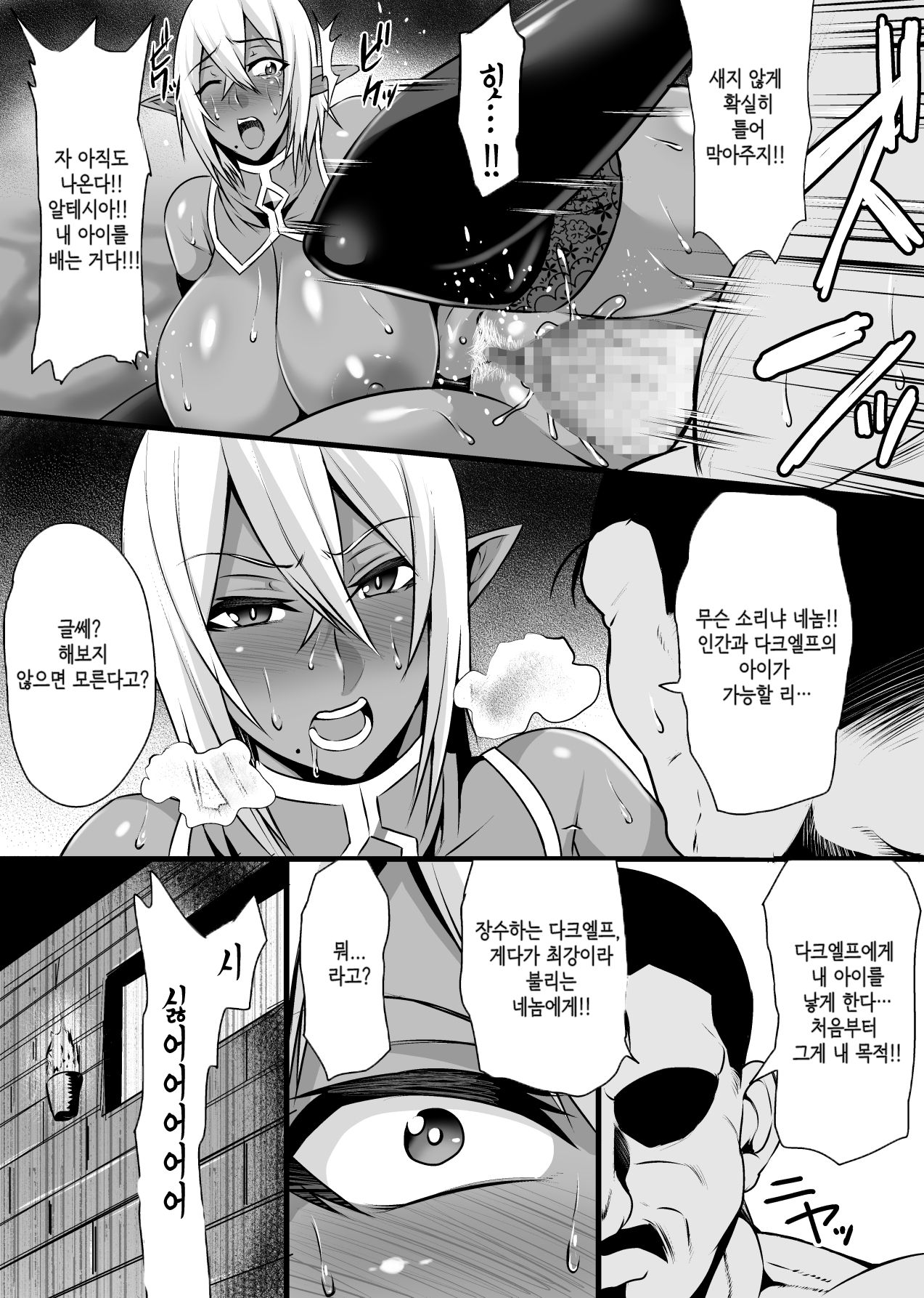 Onna Shougun Artesia - Dark Elf Haramase Choukyou Kiroku page 11 full