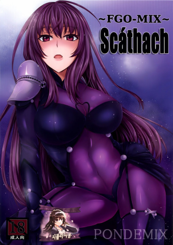 (C91) [PONDEMIX (Yukiguni Omaru, yaeto)] ~FGO-MIX~ Scáthach (Fate Grand Order) [Korean] [시뮬라시옹] cover