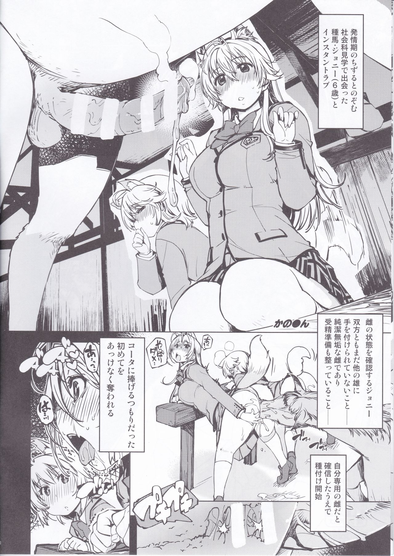 bou 4 page 2 full