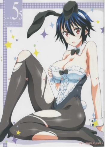 (CSP6) [Project Harakiri (Kaishaku)] Nisenisekoi 5.5 (Nisekoi) cover