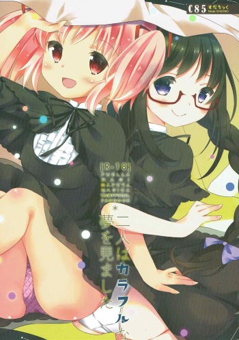 (C85) [Sudachic (Shiono Maki)] Futari wa Colorful na Yume o Mimashita (Puella Magi Madoka Magica) cover