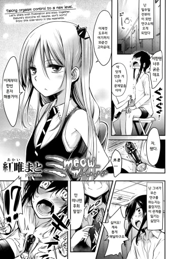 [Akai Mato] Meow.. (Girls forM Vol. 10) [Korean] cover