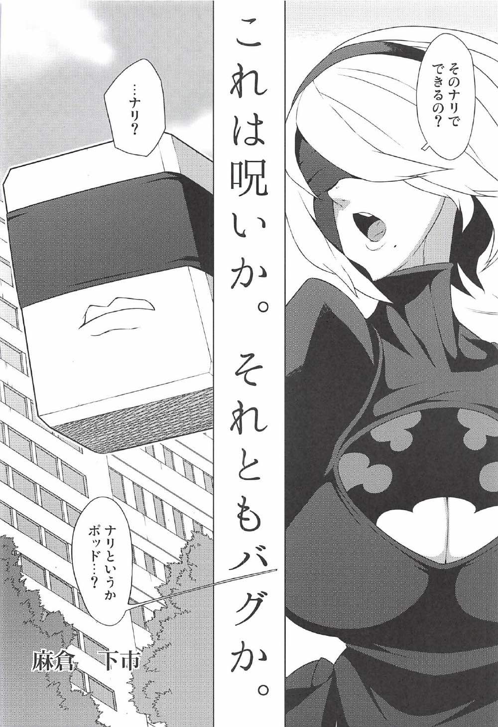 2B CONTINUED page 11 full