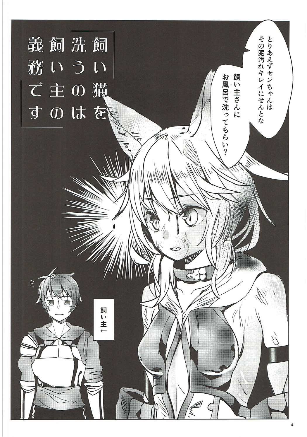 Kaineko no Seiketsu wa Kainushi no Gimu desu page 3 full