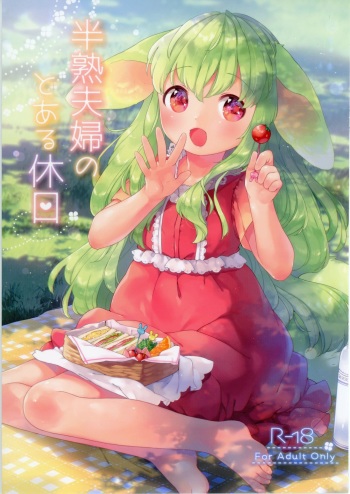(COMITIA120) [ANCHOR (Mutou Mato)] Hanjuku Fuufu no Toaru Kyuujitsu cover