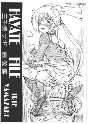 (SC46) [RAT TAIL (IRIE YAMAZAKI)] HAYATE FILE Sanzenin Nagi Gazoushuu (Hayate no Gotoku!) [Korean] [Rastina] cover