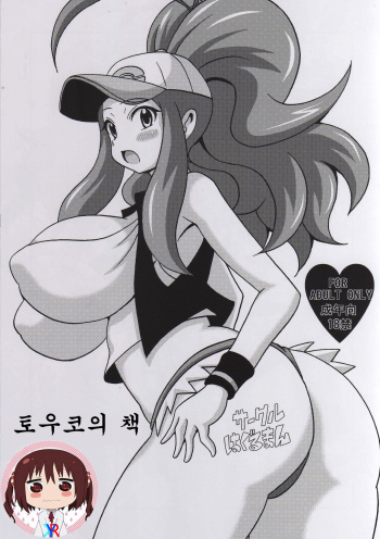 (C87) [Haguruman (Koutarosu)] Touko no Hon (Pokémon) [Korean] [KYR] cover