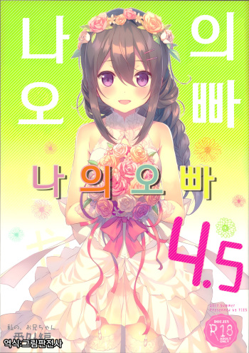 (C92) [TIES (Takei Ooki)] Watashi no, Onii-chan 4.5 Bangaihen | 나의오빠 4.5 [Korean] [그림판전사] cover