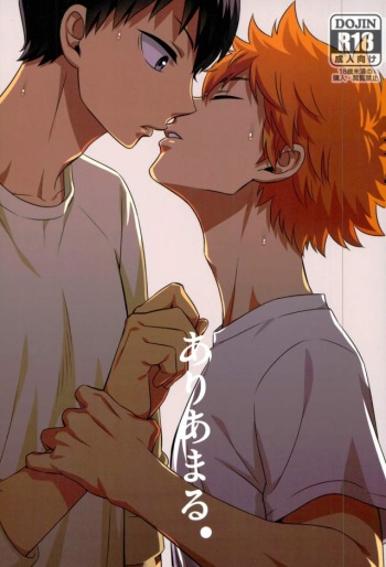 (RTS!!15) [Dog House (Inukkoro)] Ariamaru. (Haikyuu!!) cover