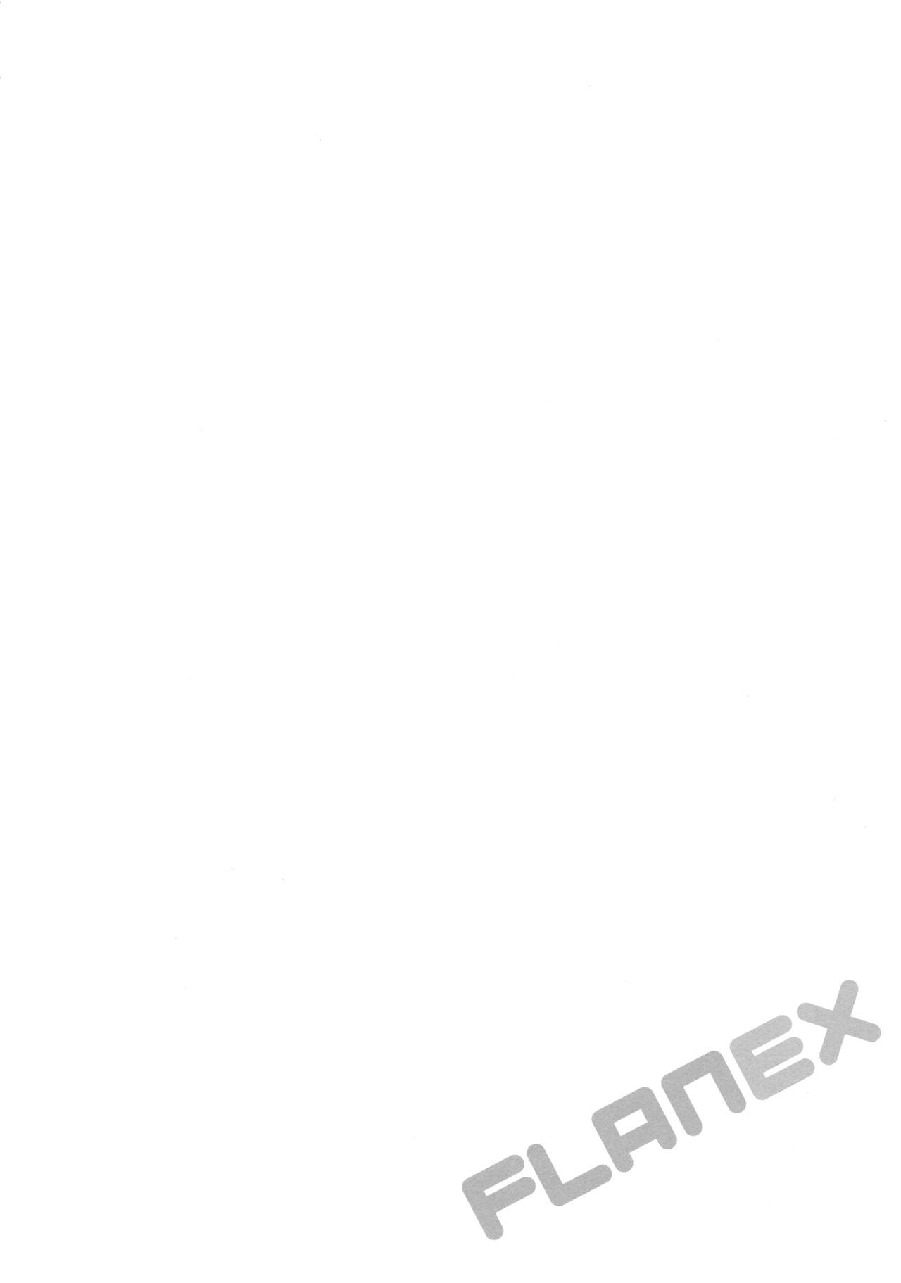 FLANEX page 3 full