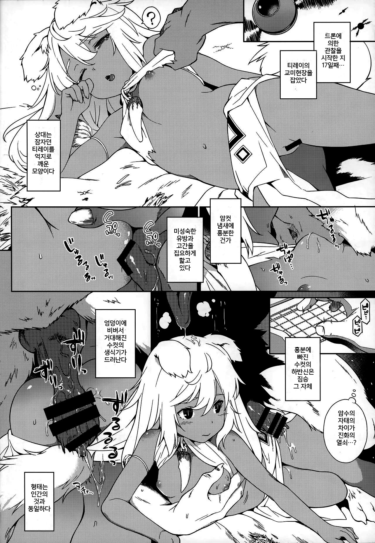 Juujin Seitai Kansatsu Kiroku | 수인생태 관찰일기 page 11 full