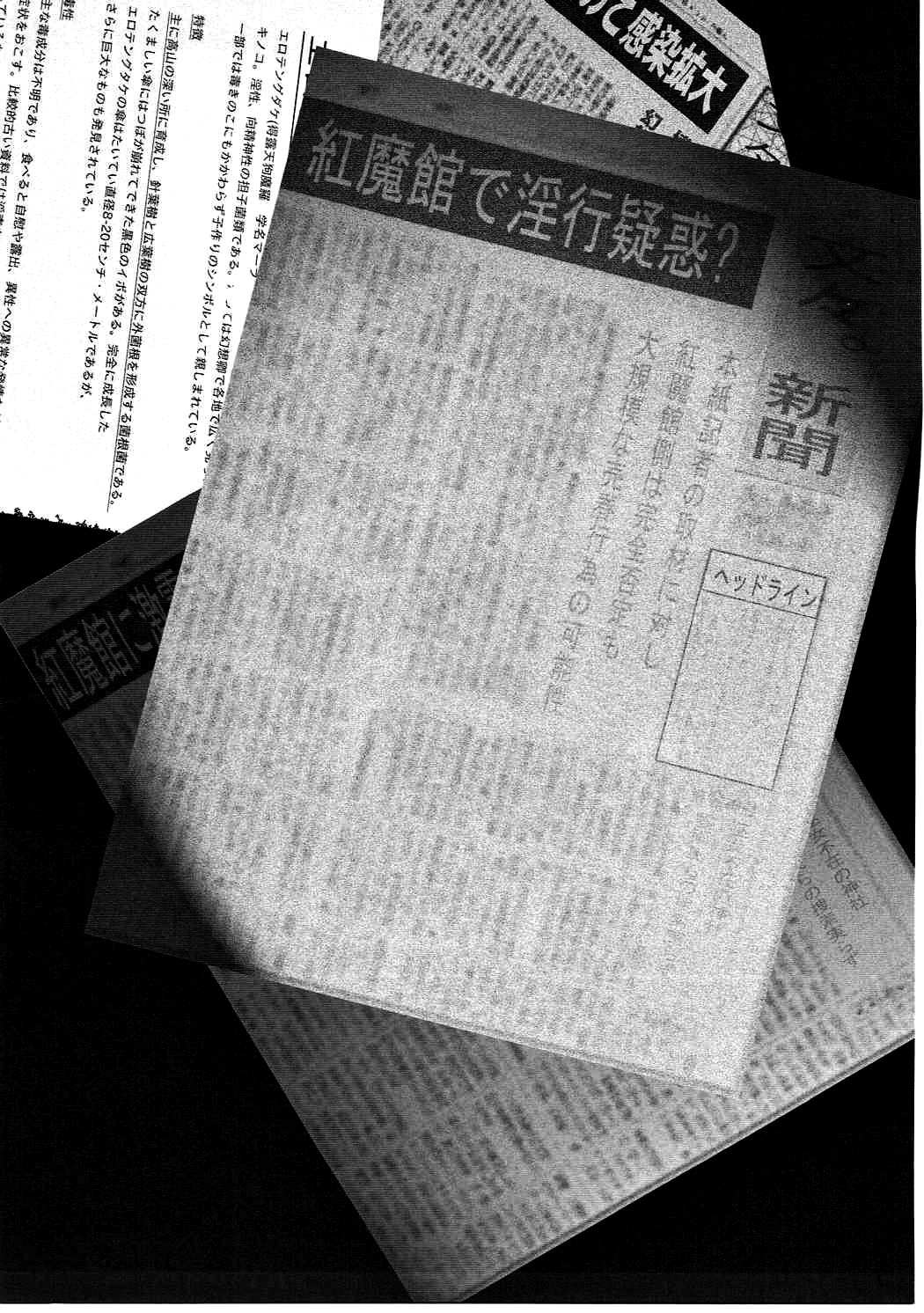 Gensoukyou Seifuuzoku Jijou Koumakan Hen page 2 full