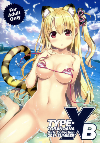 (C92) [Kabushikigaisha Toranoana (Various)] TORANOANA Girls Collection 2017 SUMMER TYPE-X B cover