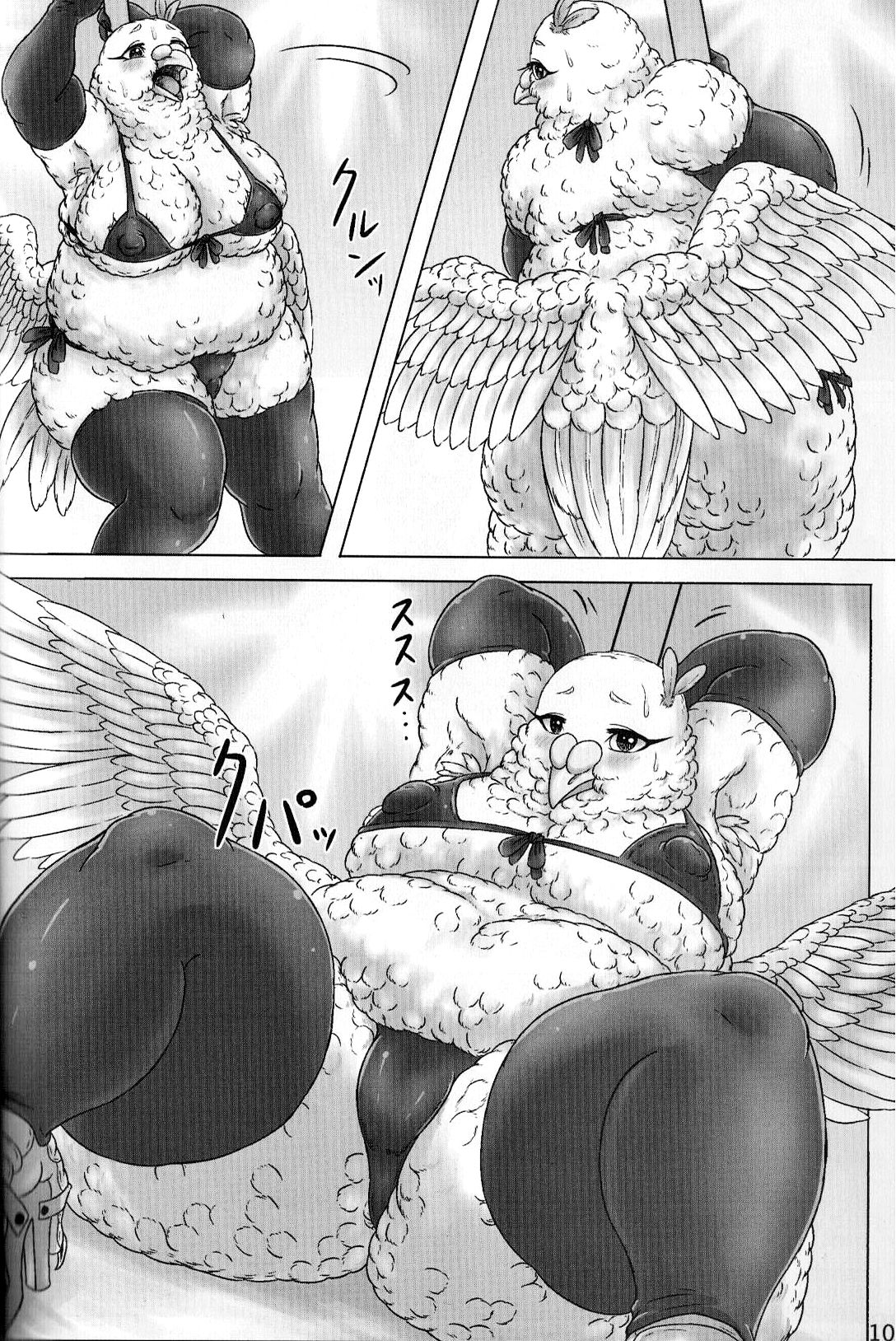 Hato Oku-sama no Late Show  | 비둘기 사모님의 심야 쇼 page 10 full