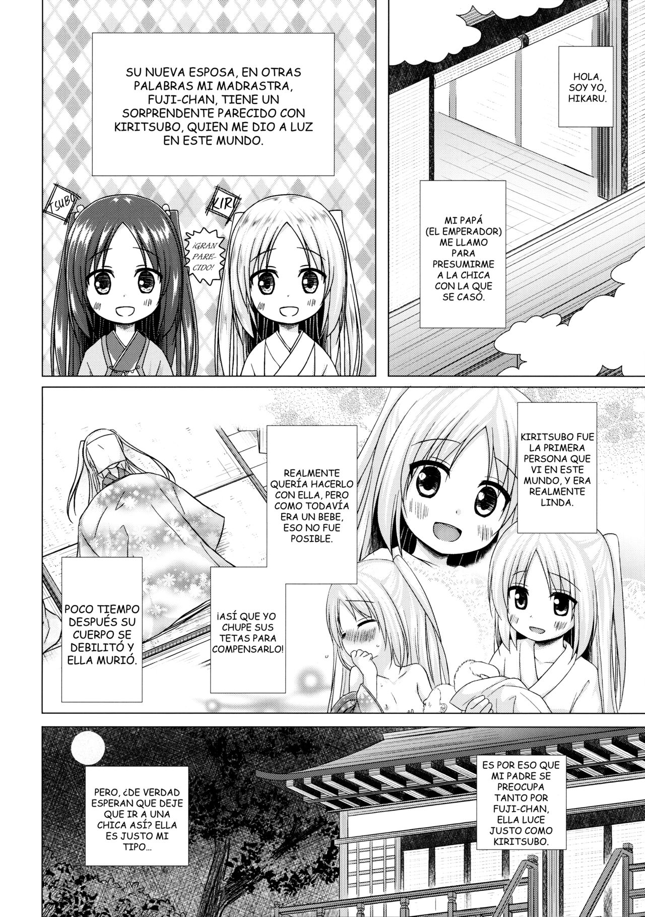 Hikari no Kimi no Saganaki Keikaku <Fujitsubo> | El Astuto Plan de Lord Hikaru <Fujitsubo> page 3 full
