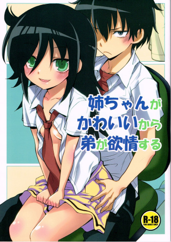 (CT22) [Monte Carlo-ya (Sena Monaco)] Nee-chan ga Kawaii kara Otouto ga Yokujo suru (Watashi ga Motenai no wa Dou Kangaetemo Omaera ga Warui!) [Korean] cover