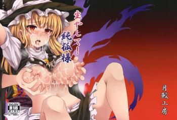 (Reitaisai 14) [Tsukisame Koubou (Same Kamaboko)] Hayashite Junko-sama! (Touhou Project) cover