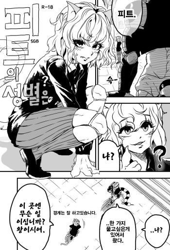 [SGB] 피트의 성별은? (Hunter x Hunter) [Korean] cover