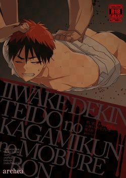 Iiwakedekinai Teido no Kagamikun no Mobure Bon