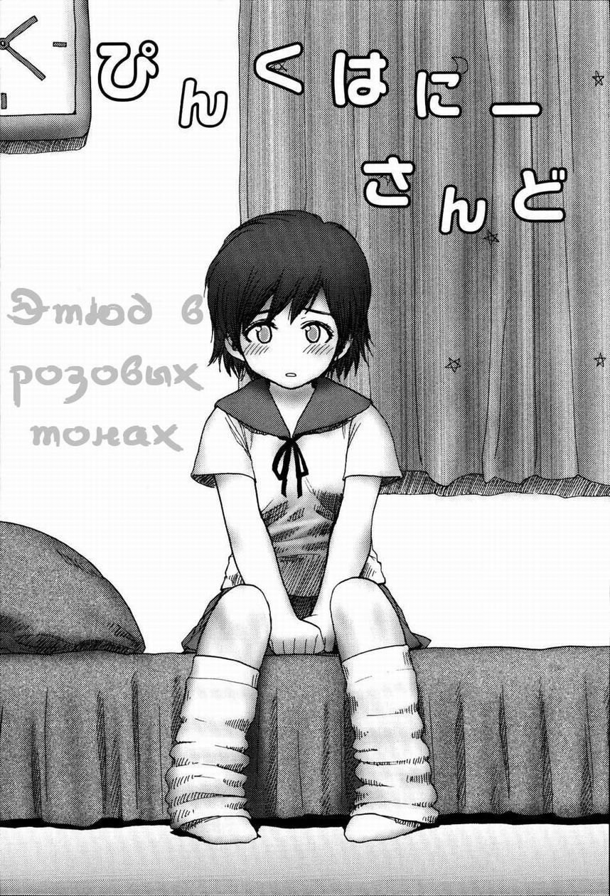 Pink Honey Sand | Этюд в розовых тонах page 1 full