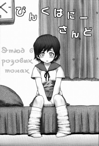 [Rustle] Pink Honey Sand | Этюд в розовых тонах (Stripe cats) [Russian] [Snow] cover