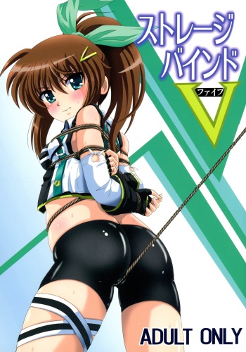 (C91) [Thirty Saver Street (Maki Hideto, Sawara Kazumitsu, Yonige-ya no Kyou)] Storage Bind 5 (Mahou Shoujo Lyrical Nanoha) cover