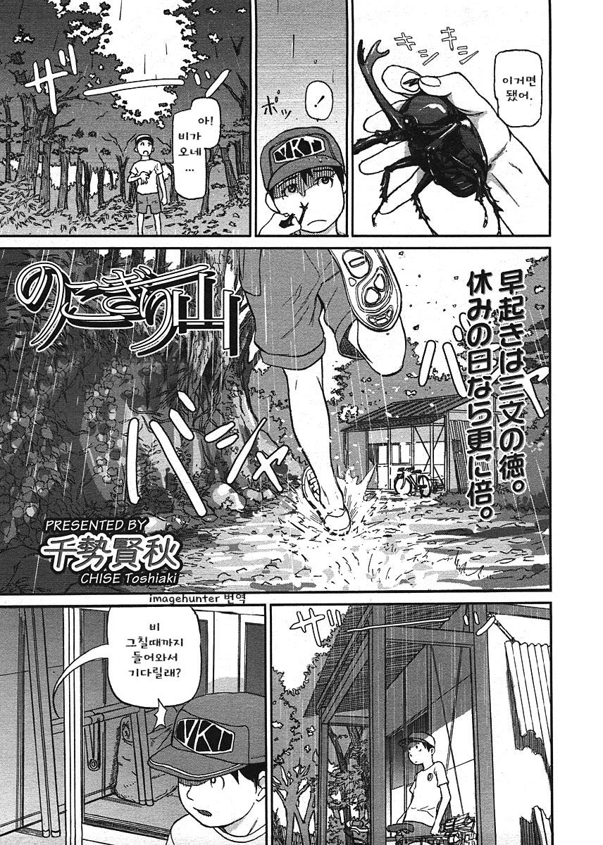 Nokogiri Yama | 울창한 산속 page 1 full