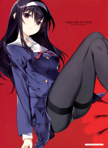 (C91) [Nise-Jyuusyofutei (Nakamura Takeshi)] Saenai Senpai no Sodatekata (Saenai Heroine no Sodatekata) [Korean] cover