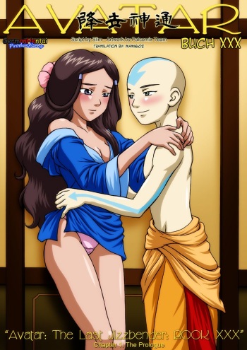 Avatar - Buch XXX cover