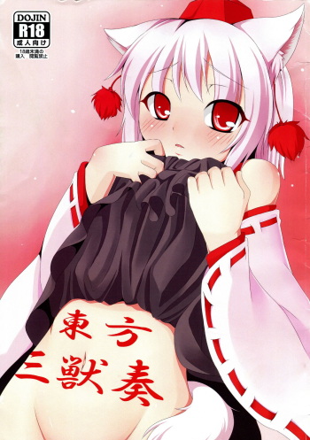 (Mimiket 20) [Evo.R.B (Takayuki Hiyori)] Touhou Sanjuusou (Touhou Project) cover