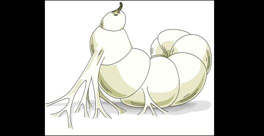 Gallery 2017 page 6 full
