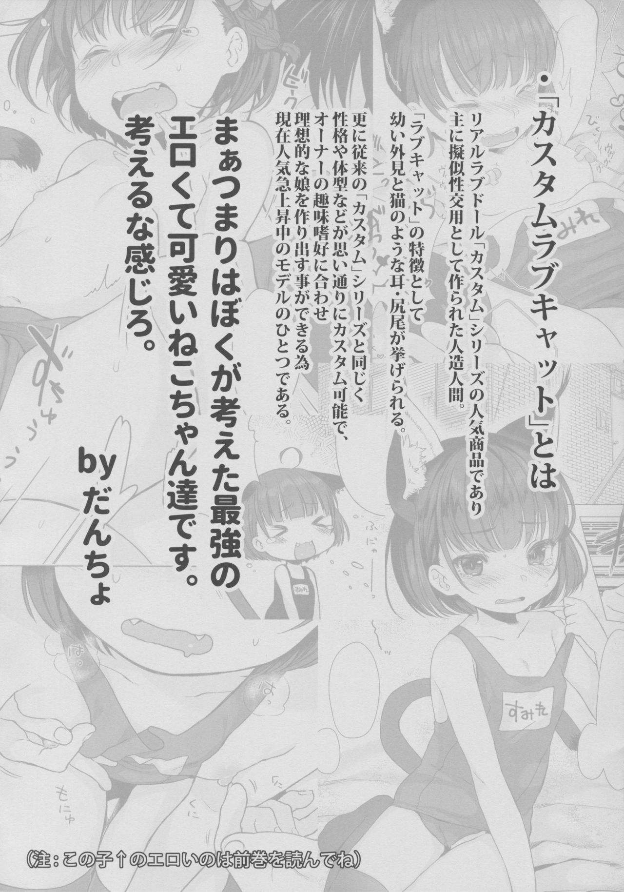 CUSTOMLOVECATs 3rd page 3 full