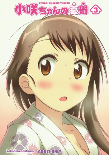 (C87) [Kakohimenoutuwa (Yuumazume)] KOSAKI CHAN NO YUUUTU 3 (Nisekoi) cover