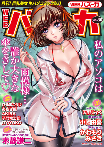 WEB Bazooka Vol. 30 cover