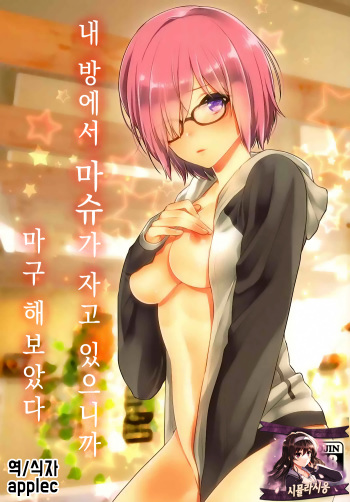 (SC2017 Summer) [Mantobi (Hashimoto)] Ore no Heya de Mash ga Neteta kara Muchakucha ni Shite mita. | 내 방에서 마슈가 자고있으니까 마구 해보았다. (Fate/Grand Order) [Korean] [시뮬라시옹] cover