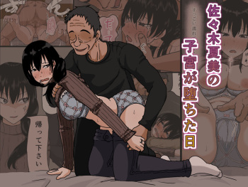[Iris art (Toda Hisaya)] Sasaki Natsumi no Shikyuu ga Ochita Hi cover