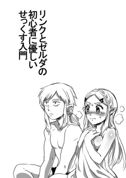 Link to Zelda no Shoshinsha ni Yasashii Sex Nyuumon