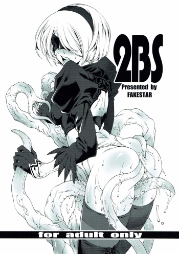[FAKESTAR (Miharu)] 2BS (NieR:Automata) cover